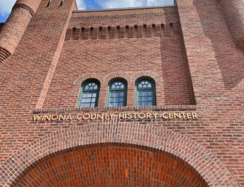 Museum Executive Director Role